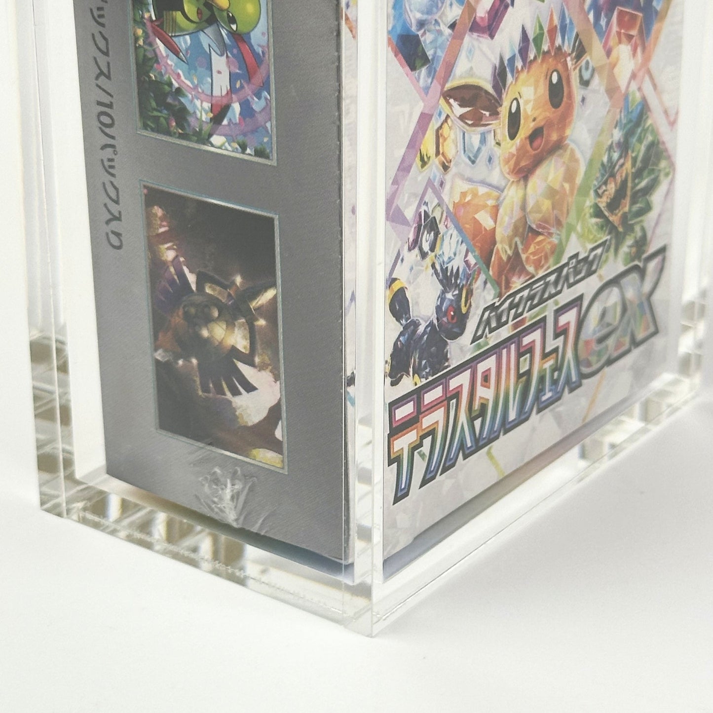 Pokemon Slim Fit Japanese Special Set Booster Box Acrylic Case With Magnetic Lid - Booster Box Acrylic Case - TCG Armour - JAP-SSBB-1
